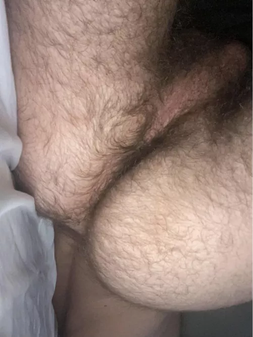 Need this furry college ass licked and fucked tbh, hmu bros by mattredditpost