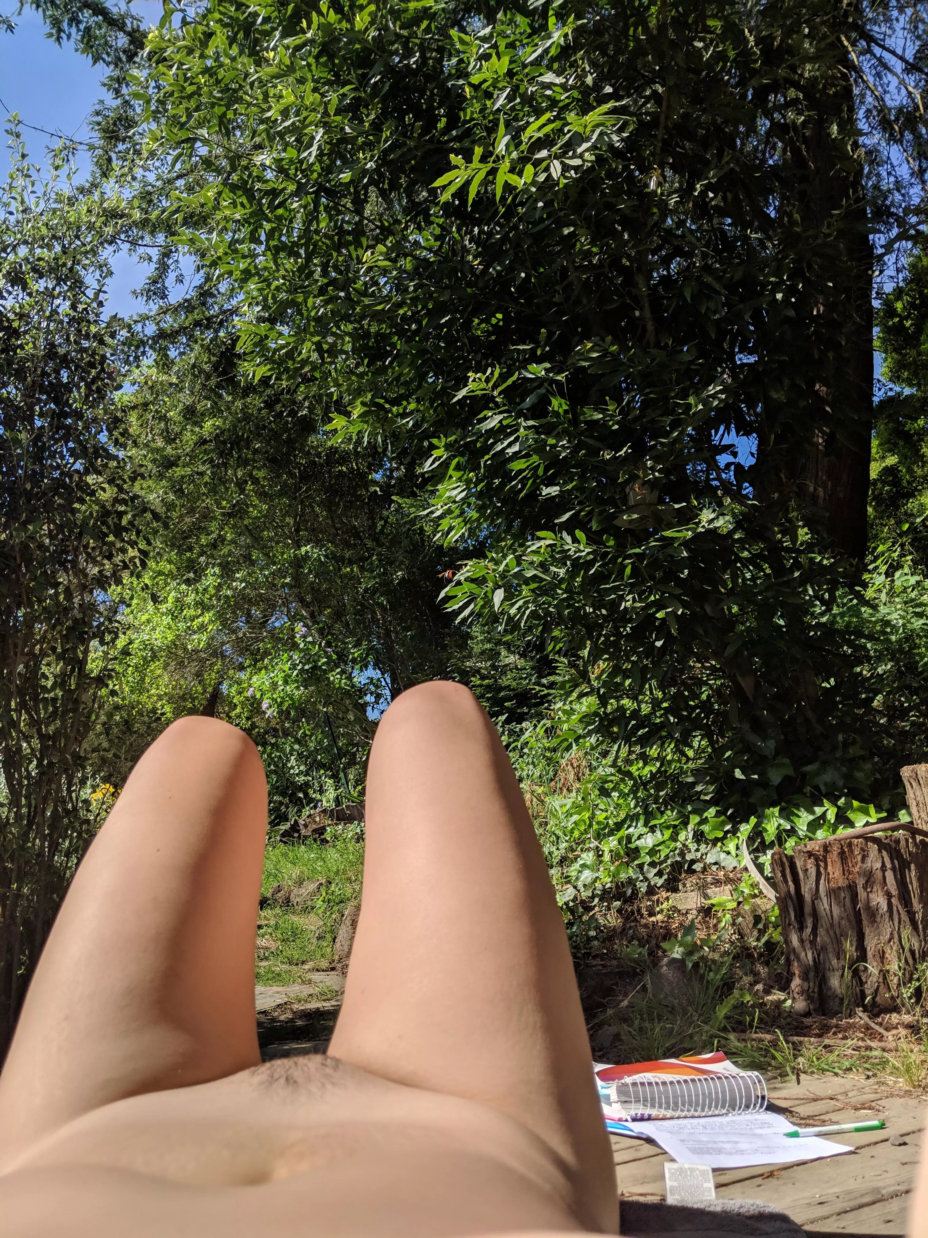Need to catch up on the landscaping.. and homework :/ (33f) posted by Jakkuthenjakkme