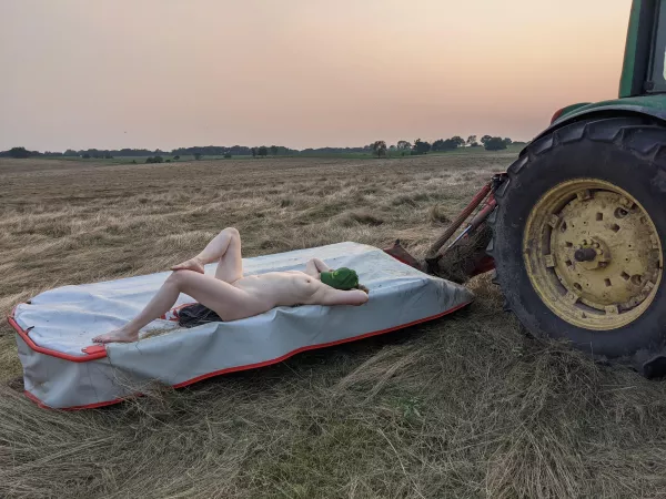 Needed a break from mowin (f34) by Important-Donkey2011