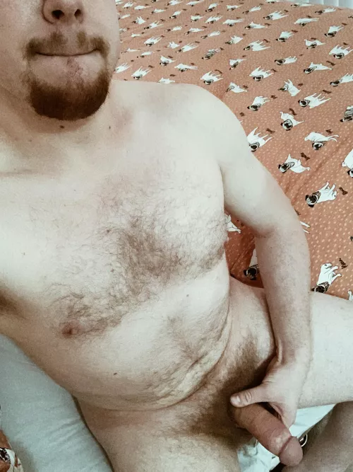 Needing some bear hugs. Maybe a whole cave of bears. by epicureausxxx