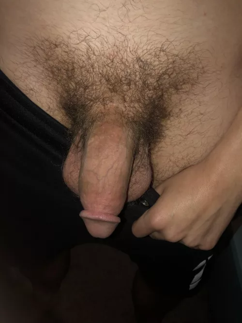 needs a shave by aaronthomas247