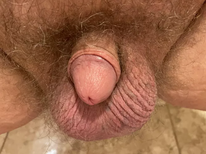 Needs fluffed [46] by Panzov2day