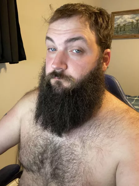 Needs hugs, belly rubs, and coffee. by d6fur