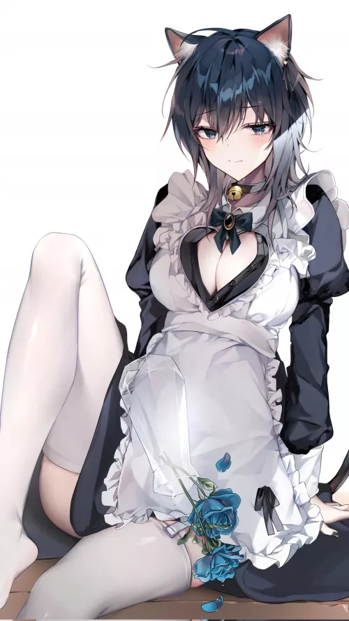 Neko maid by Infinite_Science