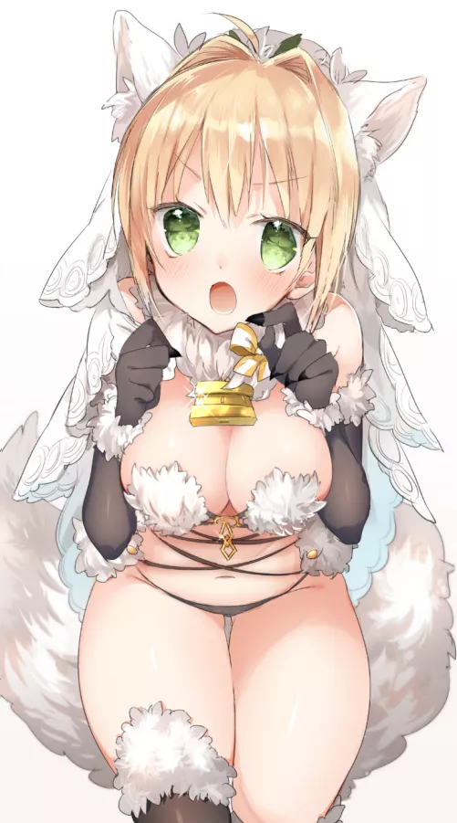 Nero Claudius (Bride/Dangerous Beast) by goldenrider006