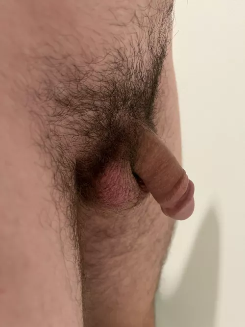 Nervous because I’ve never posted a softy before (more of a grower). Lmk what you think by randotron1492
