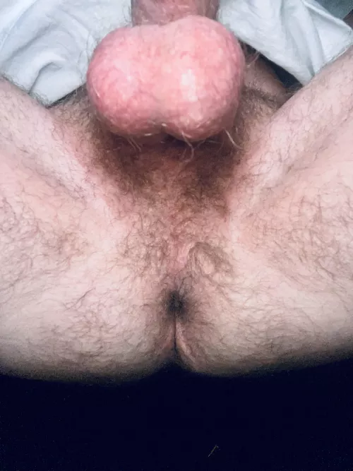 Never bottom, never really look back there. Not terrible. 🤣🐷 by TomStreet1