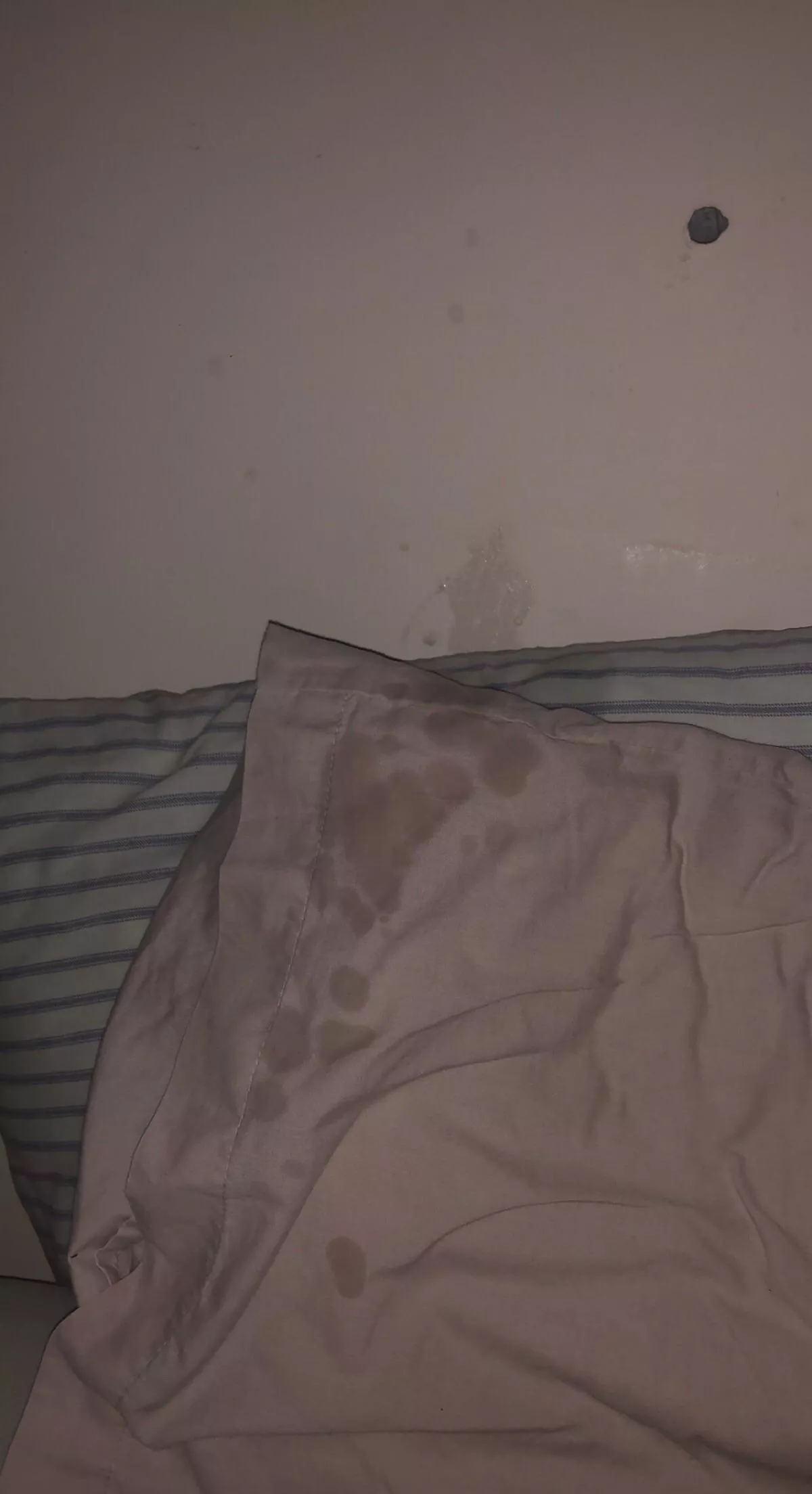 Never have I ever cum this hard in my life! Someone pass me a mf drink! posted by Lad4Dad86