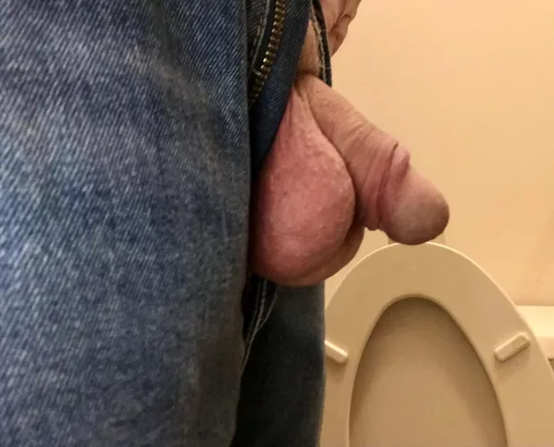 Never posted online before. Figured I’d snap a pic after a piss. Thoughts? by Itsagoodday4