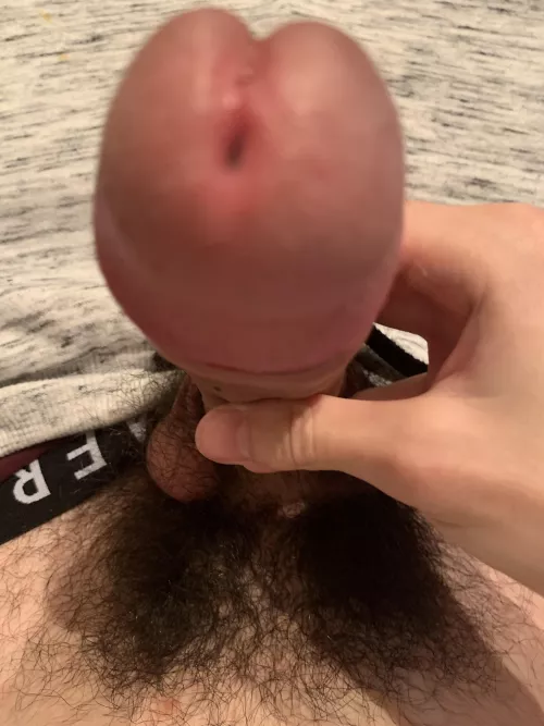 Never shaving my bush by valent_0