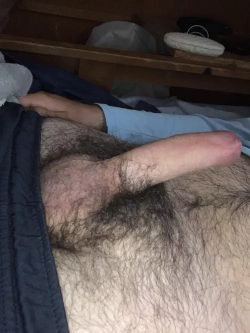 Never trimming again by Anoesi