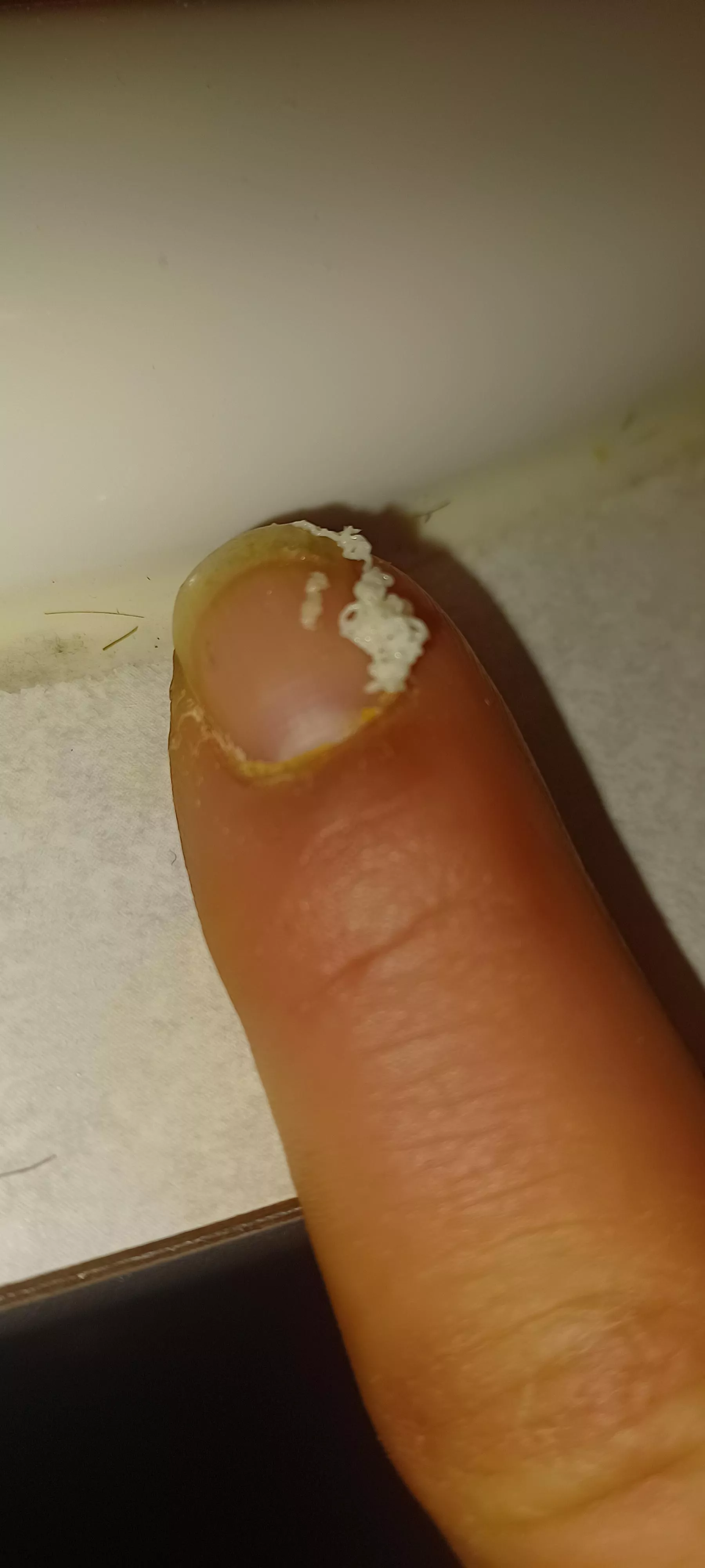 Neverending serpent. Came out aggressive. posted by onetime-justone