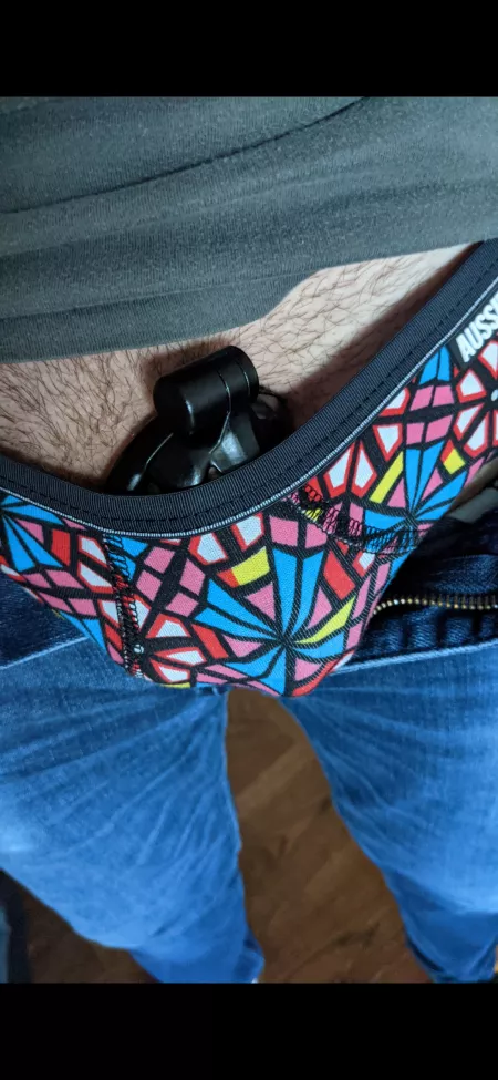 New briefs trying to hold it all in by DB3242