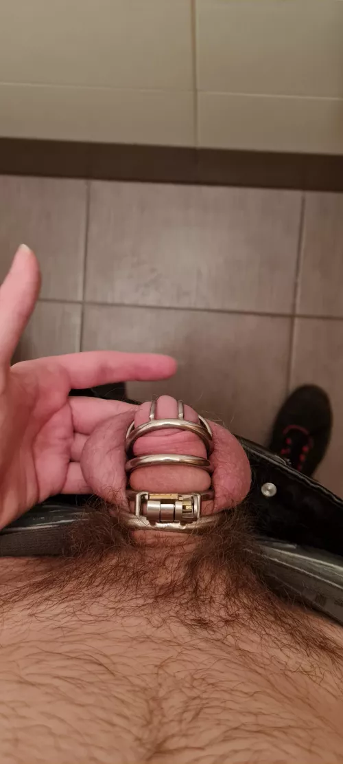 New cage, tight fit, but so far so good ^^ How long should I stay locked for? by Mira_Jackson