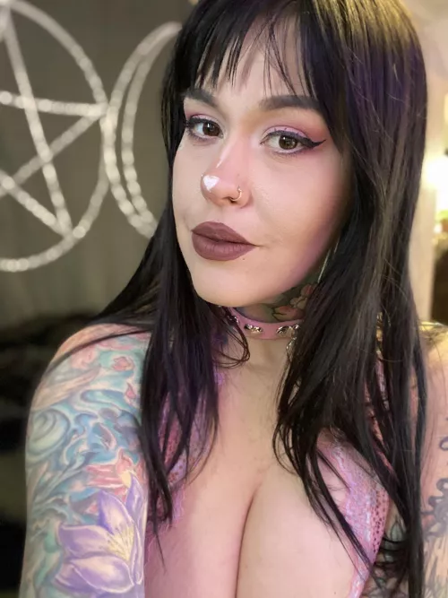 New collar, same brat 😈 by Coconut-Silent