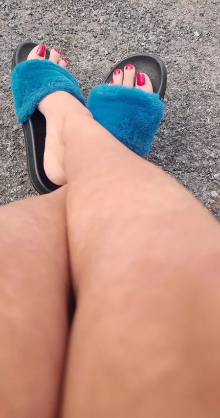 New color by saharam30