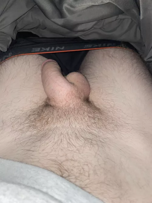 New Cut, anyone wanna try him out? by Upbeat_Depth_3078