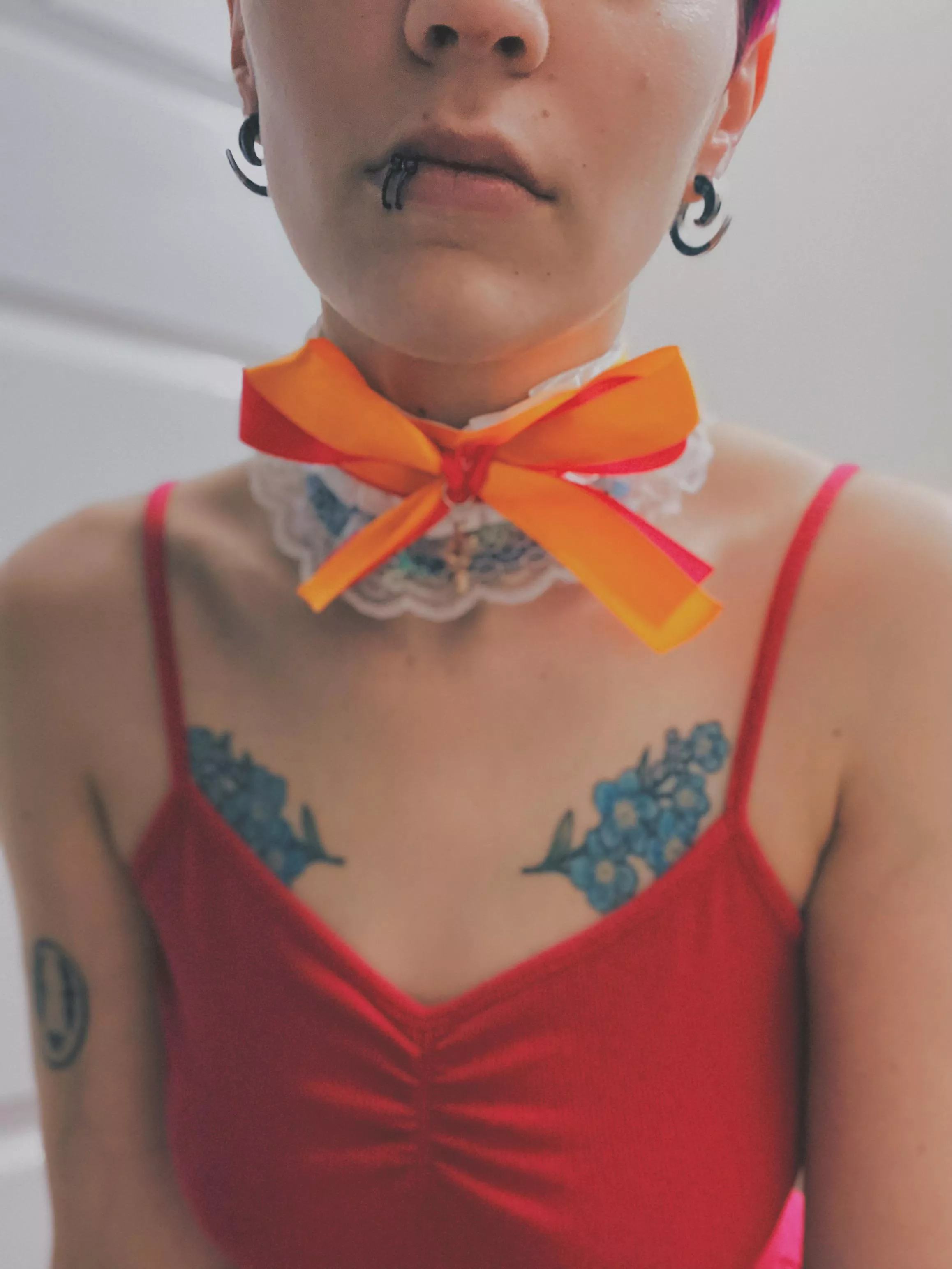 New ears and collar. I love getting new gear. What’s your favorite thing to treat yourself to? posted by CandycornBB