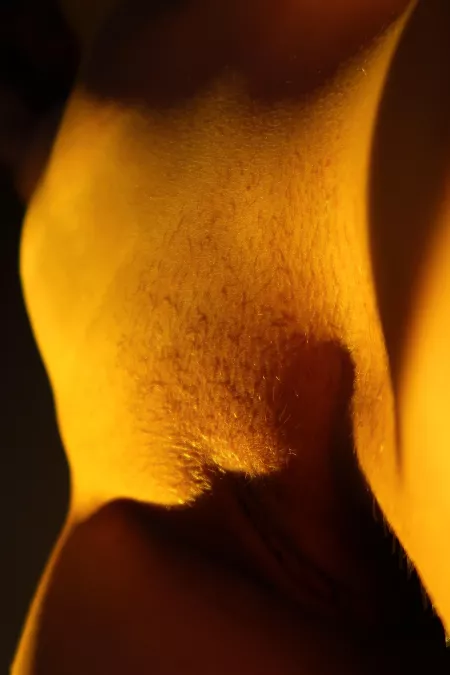 New Growth by realpretendlunch