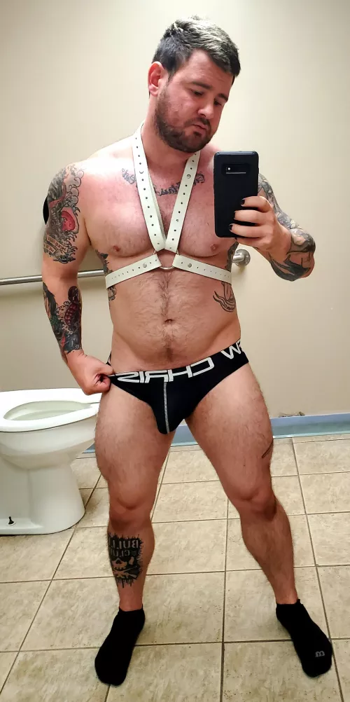 New harness! Figured I'd wear it in public ;) by underwearempire