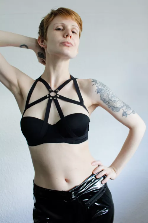 New harness!! ^^ by stretchykitten