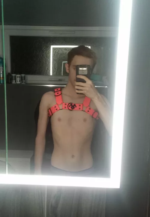 New harness 😁 by trytry243