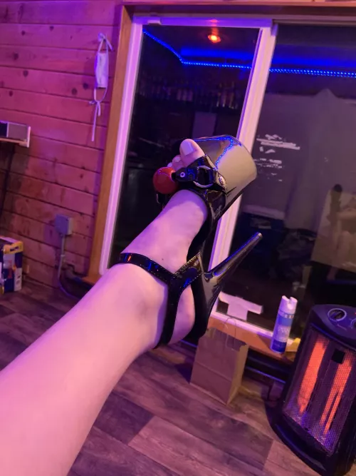 new heels from a sub 😍 should I have him lick them clean after the heel goes up his ass? by VanessaWhiteee
