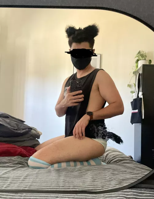 New here, are dirty mirrors and dirty pets allowed? by Simba-Mane