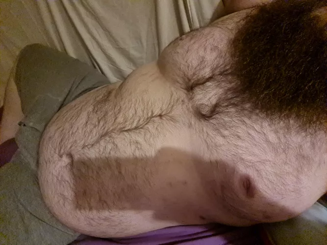 New here so hello to all the BHM 🖐 by VersBear5116