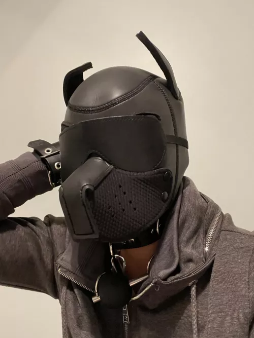 New here! Woof by stayawayfromthealien