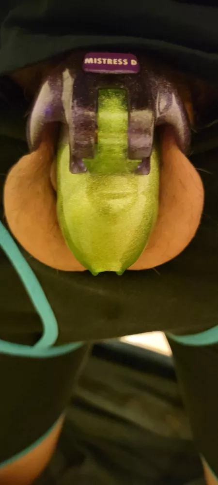 New holytrainer v4 nano and I love it it fits perfectly and is very comfortable by Many-Purpose3221