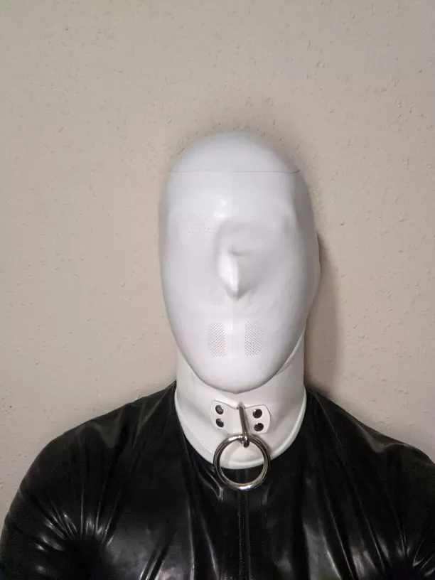 New hood locked on with posture collar posted by MBound123
