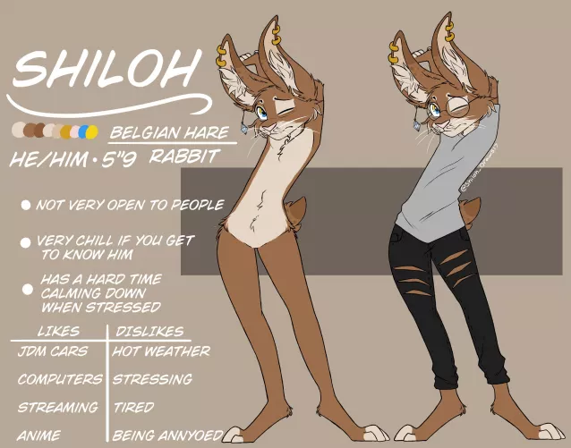 New personal Fursona, Shiloh { Art & Character belongs to me | @Shiloh_draws17 on Twitter } by Shiloh_boy17