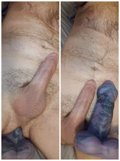 New personal girth record. Elliot by ThrowJCar