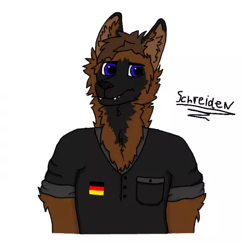 New pfp. Maybe some advice? by Schreiden_Wolfshund