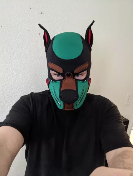 New pup and my first post!! I like head scritches :) by FoamMaster3000