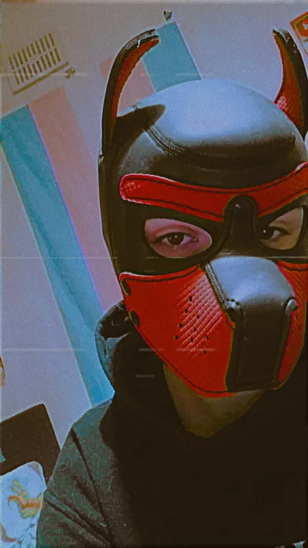 New pup! Anyone wanna be friends with this wuff? FTM 18 btw! by hells1ck