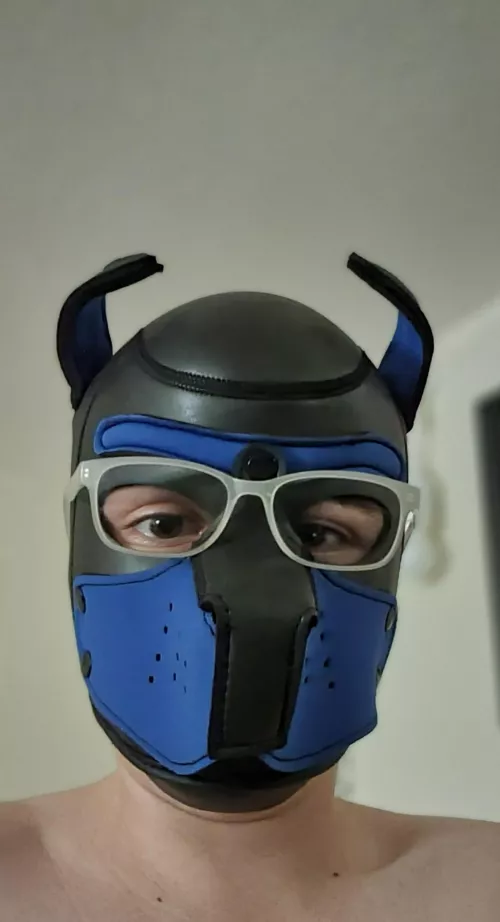 New pup first time posting here 🐶 by Davidkings45