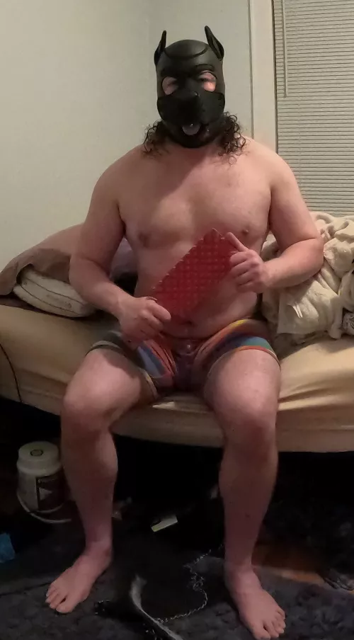 New pup here saying hi. by KC_Love_Pup