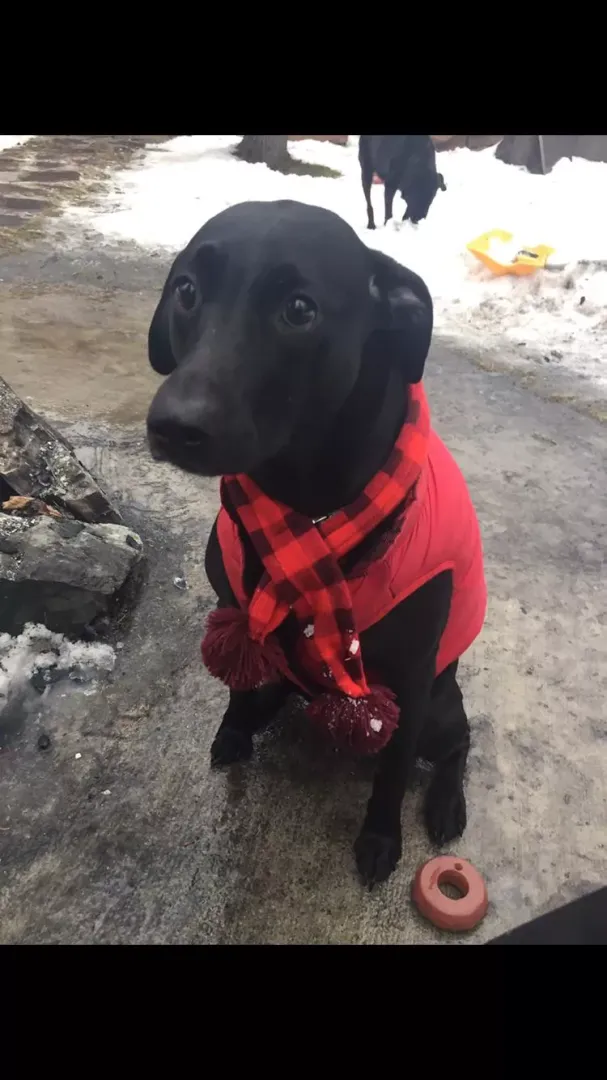 new scarf 🧣 posted by metrogenics