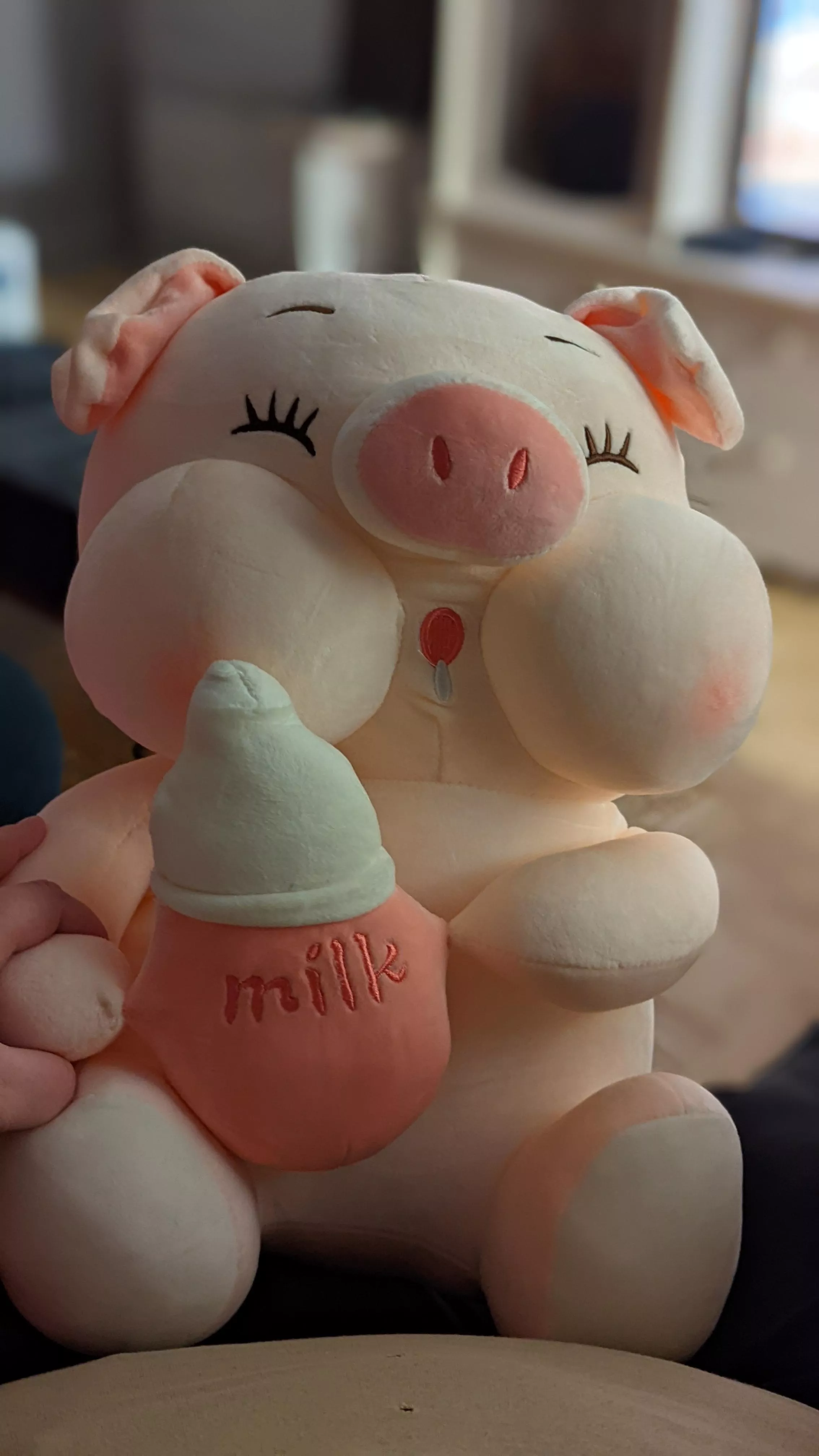 New stuffie again !!! I'm almost done with adding some to my collection, I tend to get bigger ones and there is less and less space on my couch and bed hihi 😋 This is Piglet ! He is oh so darn cute and soft and I wuvs him so much ! 🥰 Thank you hub posted by cynshine21