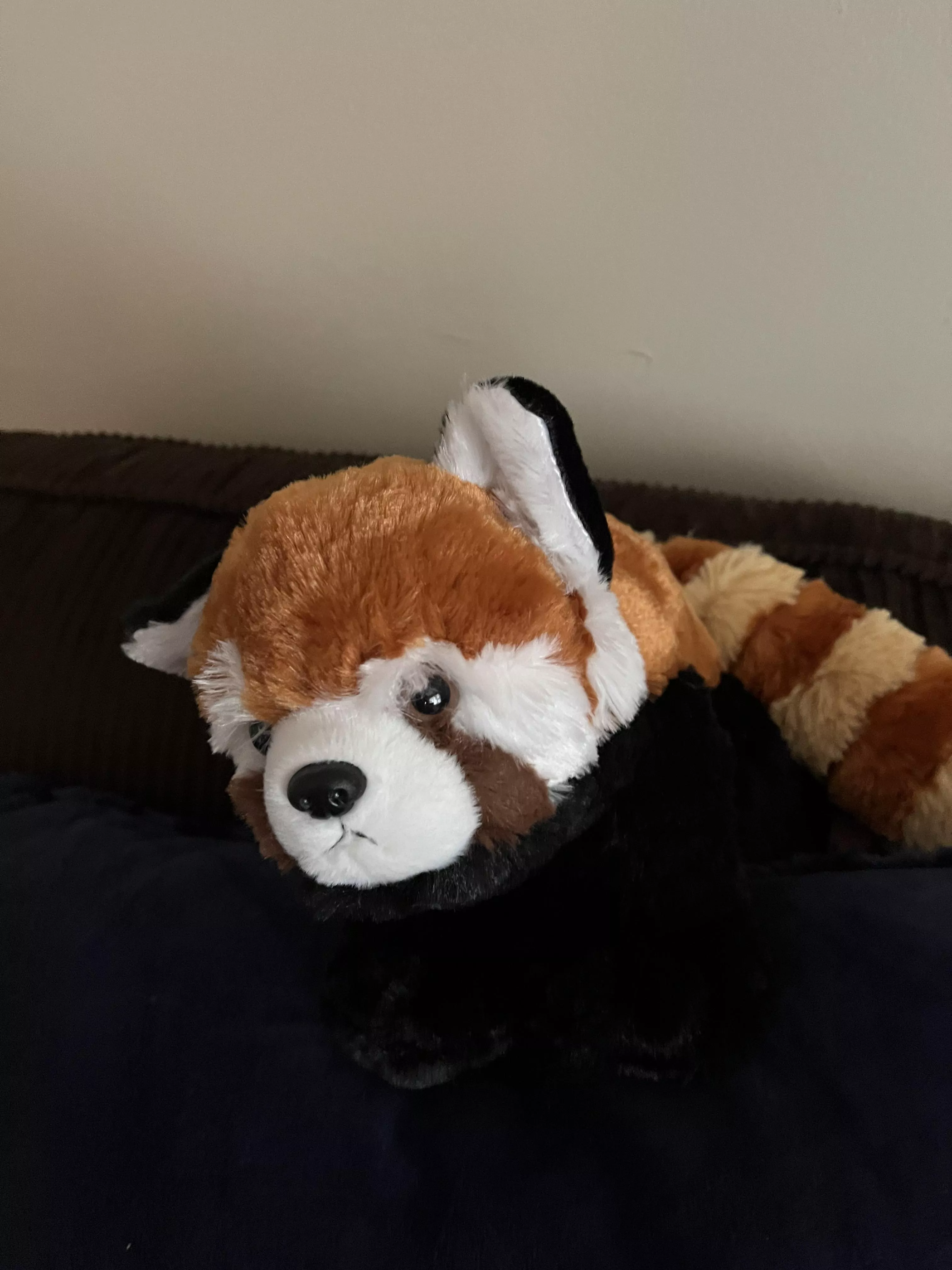 New Stuffie!!!!🙈🙈 what should I name him?!? posted by SmolChickenRaptor