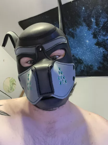 New to pup, looking for friends! 26 by chrislover20