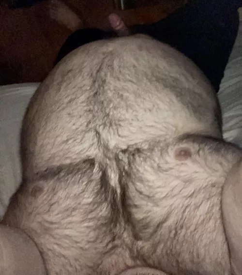 New to Reddit, do I belong? by AutoRex89