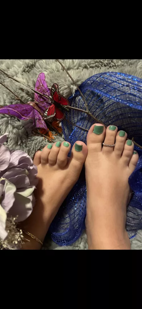 New to this and wandering what you think of my wasian toes? by Layla-the-Wasian