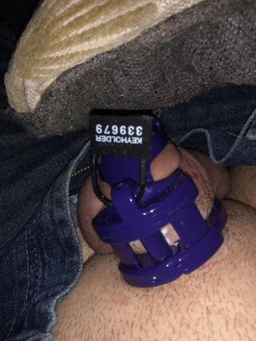 New to this but already coming out of my shell by tever13