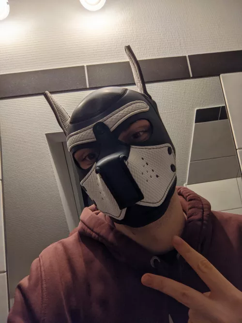 new wolf pup on the block, hope i'm welcome 🐺 by nickthewolfboi