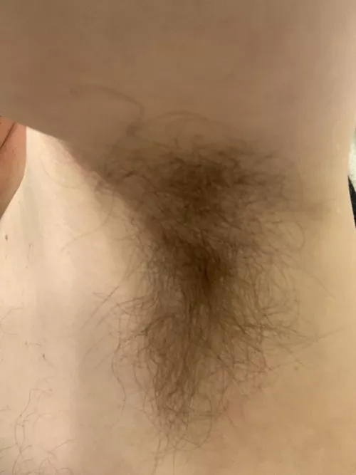 New year, same pits by Geekguy78