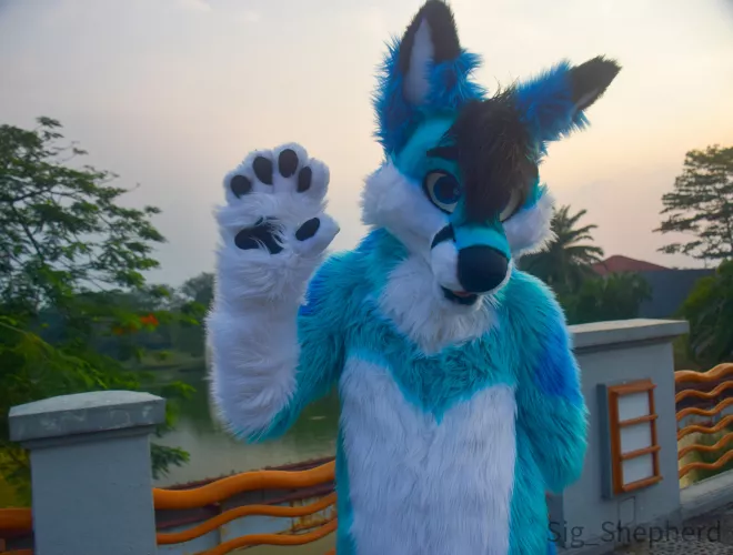 New Year’s Eve! What’s your plan for 2022? by spiritofniter