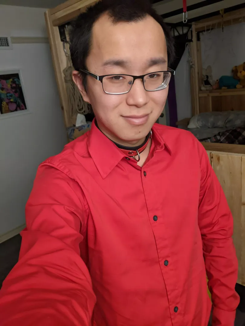 New year's outfit. I felt confidant enough to wear my collar with the guest around. posted by youlifan